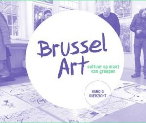 DWARSLIGGERS IN DE HOOFDSTAD. De kracht van sociaal-artistieke praktijken in Brussel.