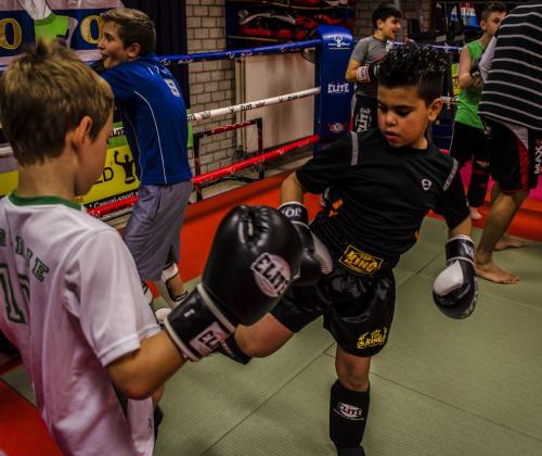 Verslag studiedag vechtsport en jeugdhulp